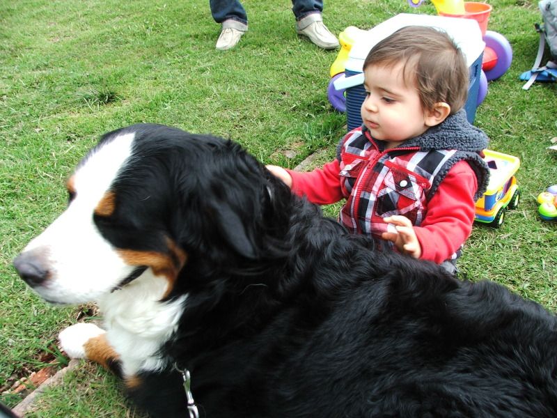 DSCF4598.jpg