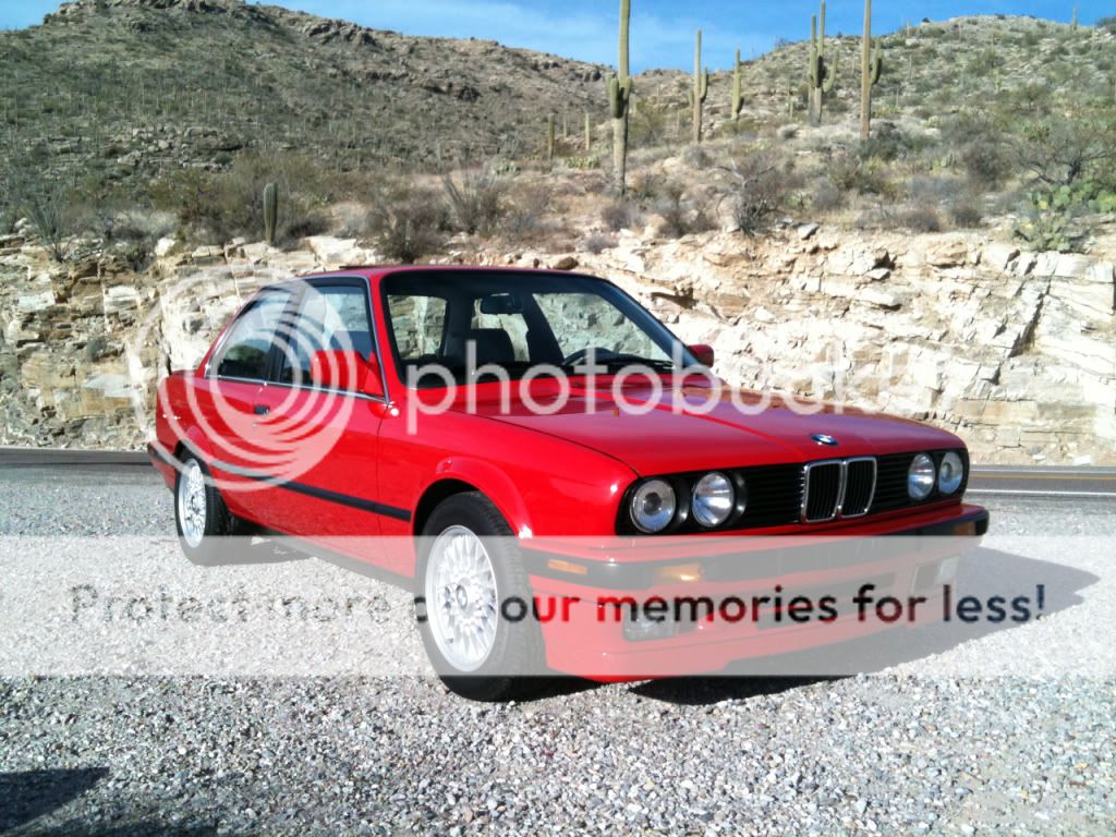 IMG_0381a.jpg