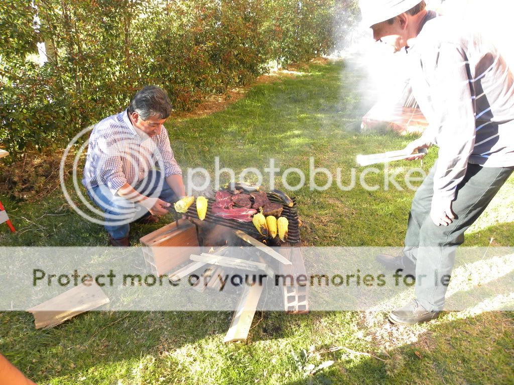 DSCN3474.jpg
