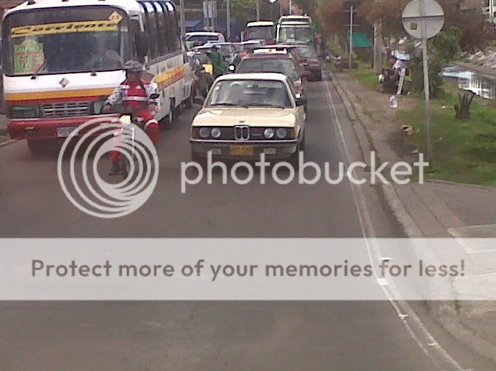 IMG00303-20110628-1609.jpg