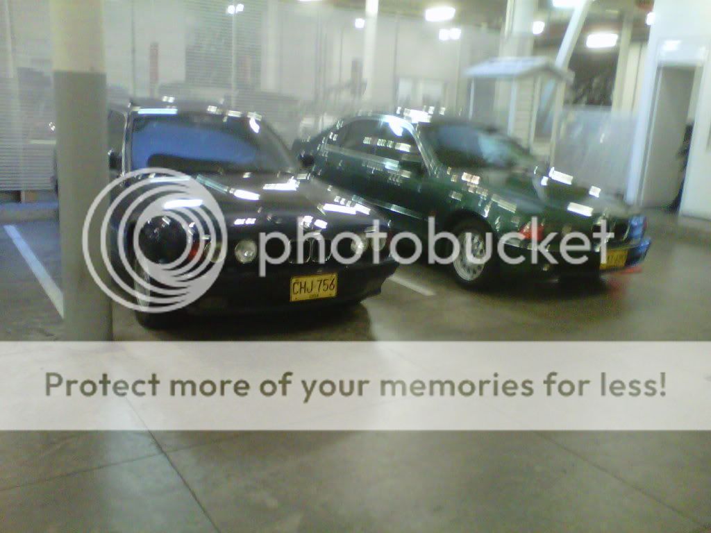 IMG-20120927-01264_zpsa6aae726.jpg