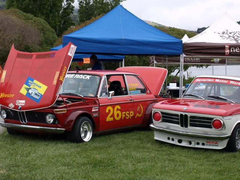 P5157427.jpg