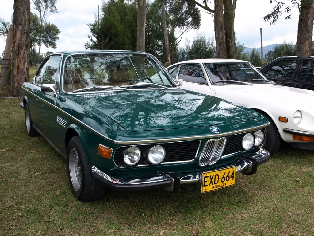 P3158955.jpg