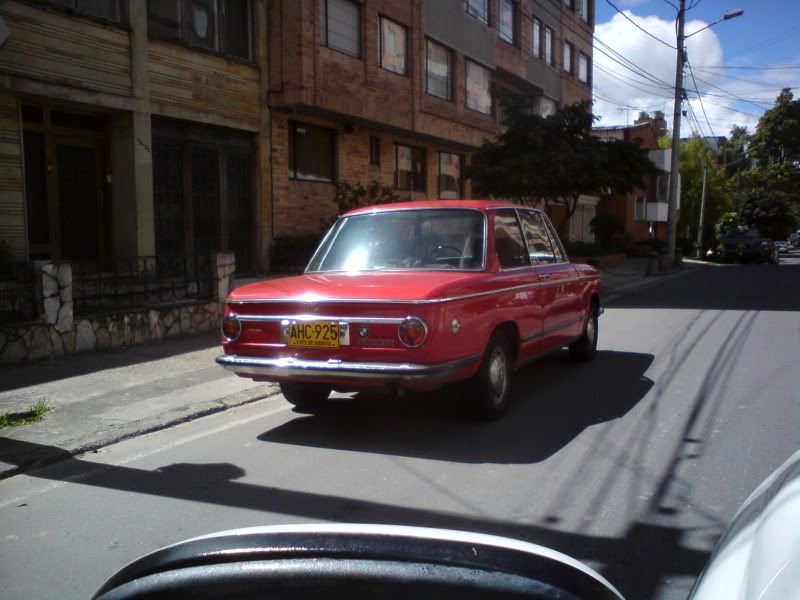 DSC00594.jpg