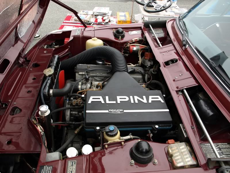 P5157295.jpg