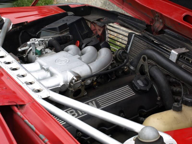 P5157440.jpg