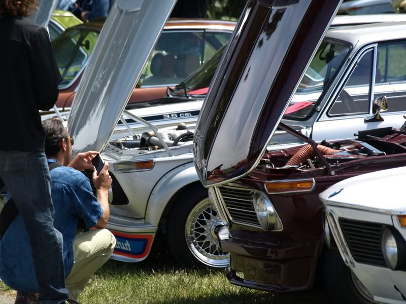 P5157542.jpg