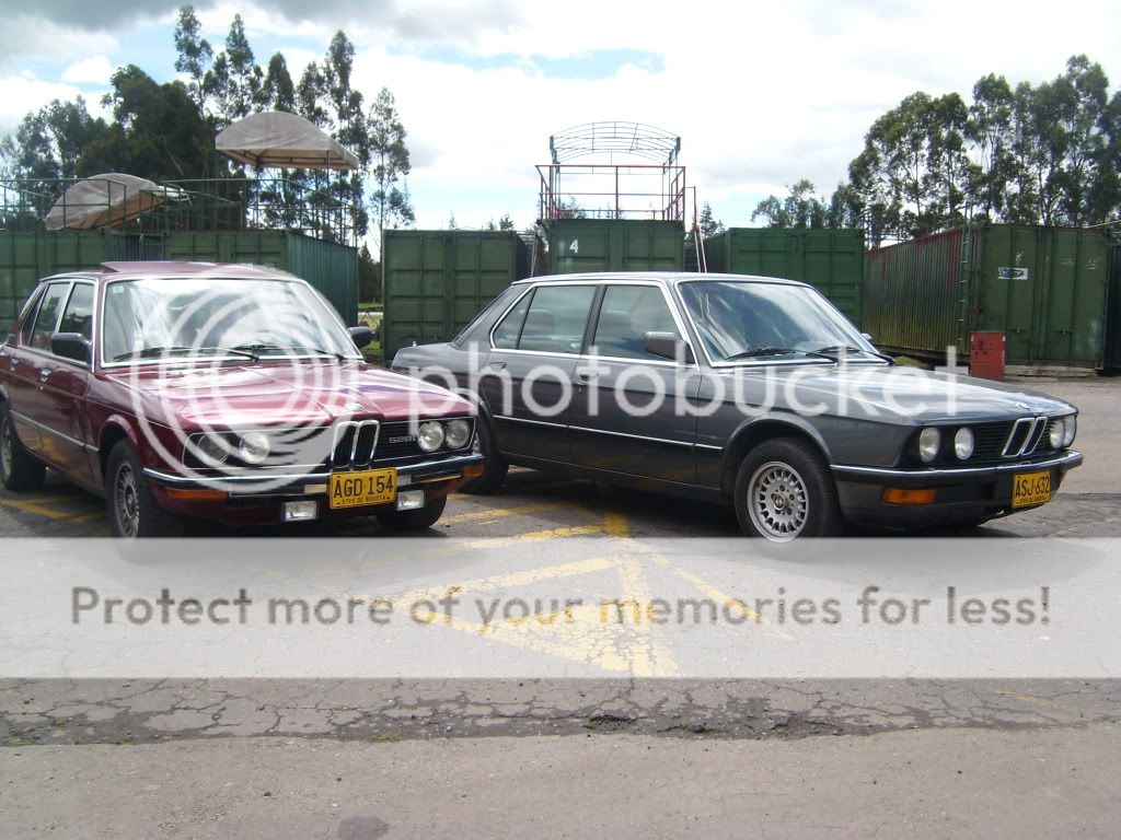 SL730057.jpg