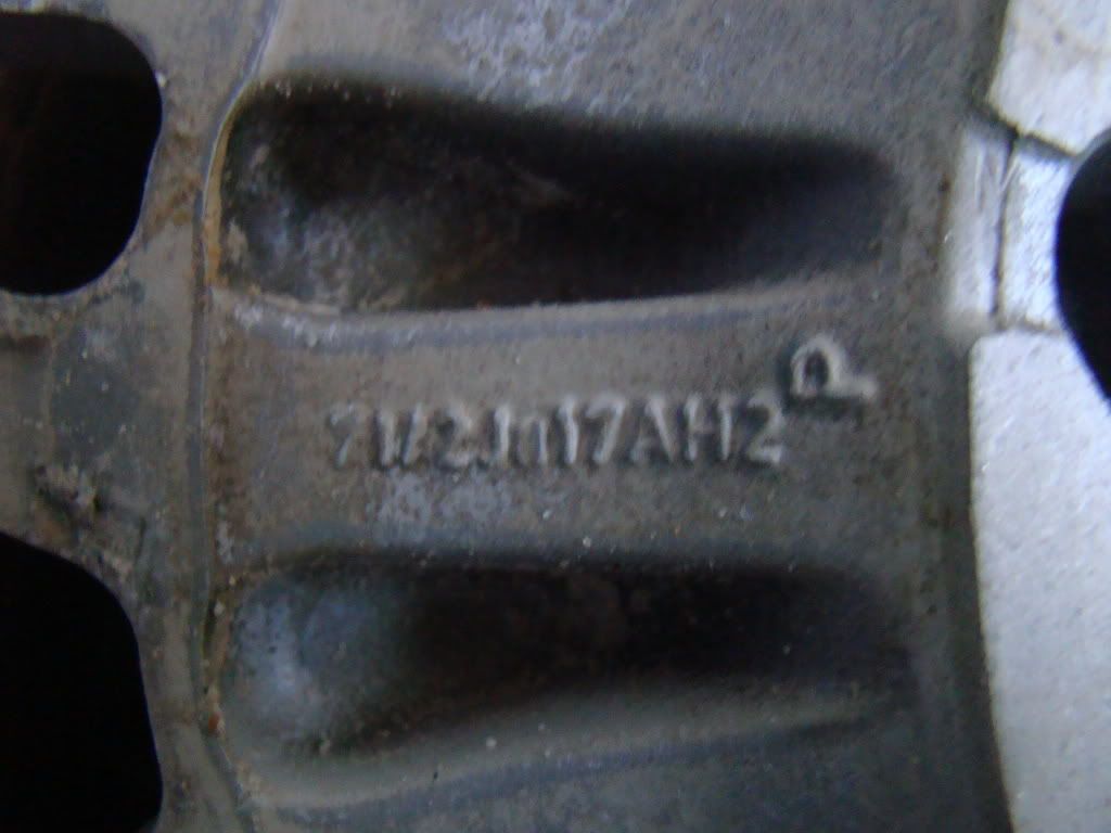 DSC06550.jpg