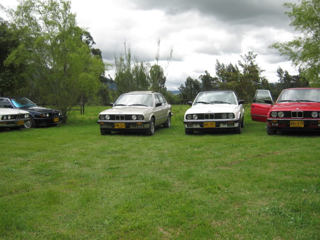 varios5093.jpg