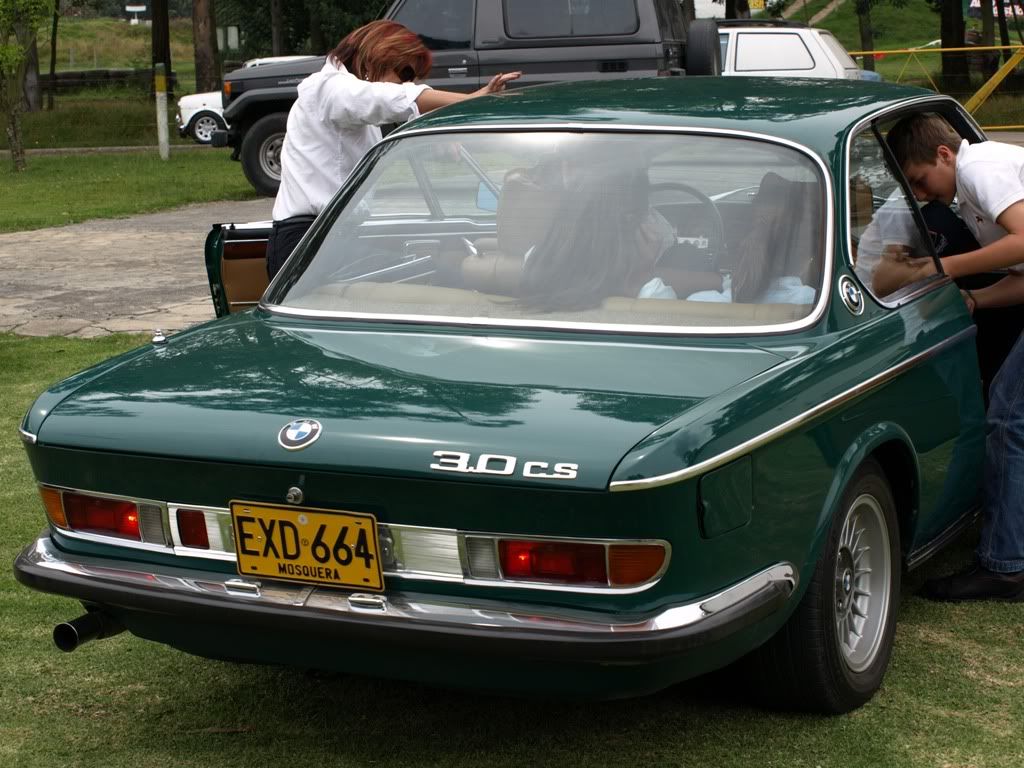 P3159012.jpg