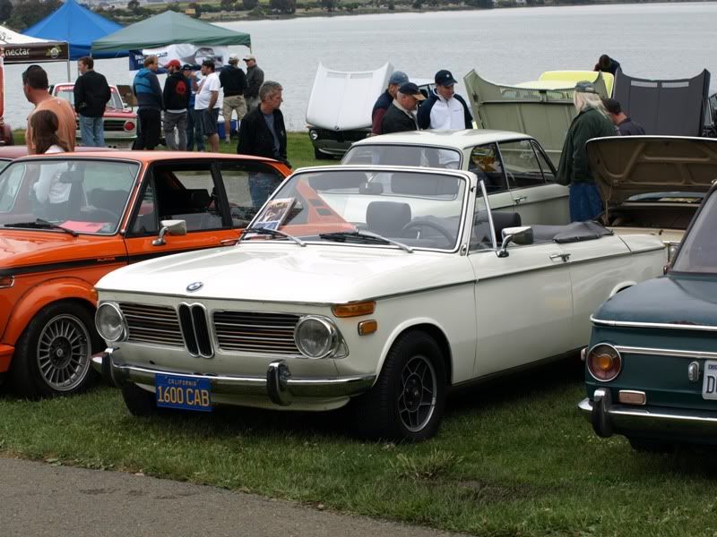 P5157376.jpg