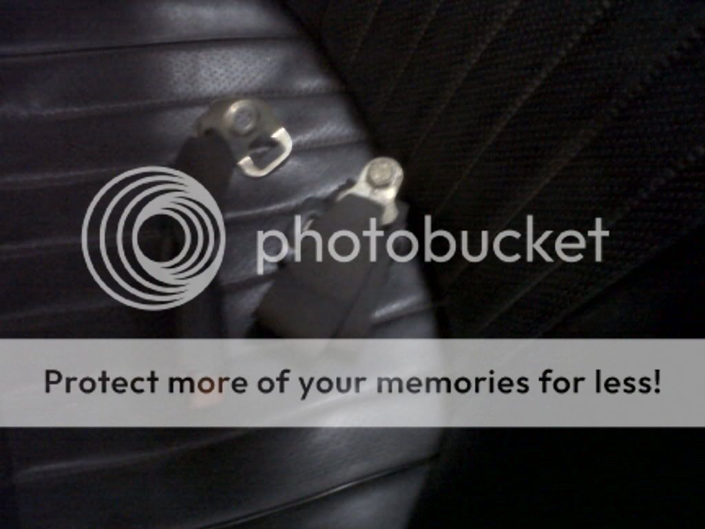 IMG00415-20110415-1549.jpg