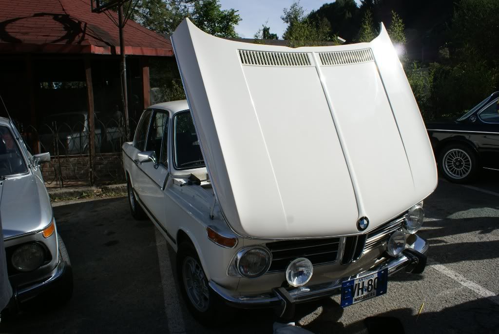 DSC08259.jpg