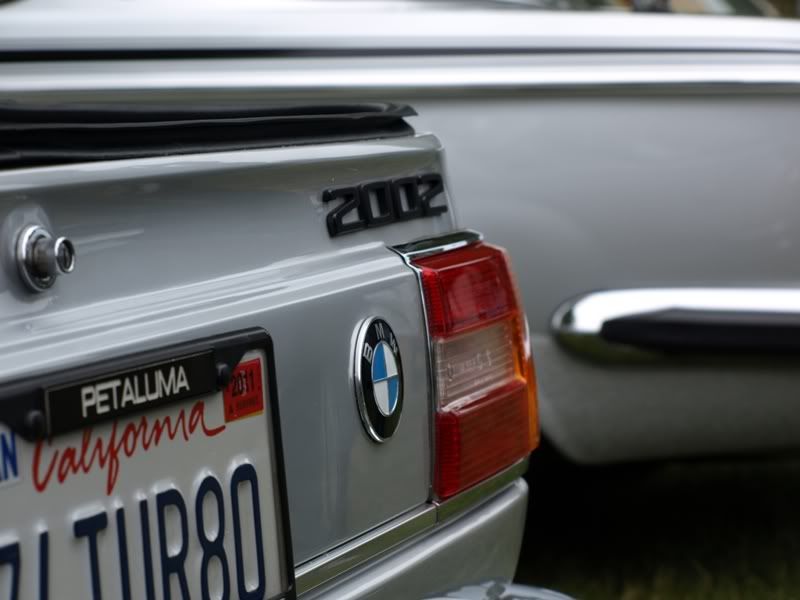 P5157343.jpg