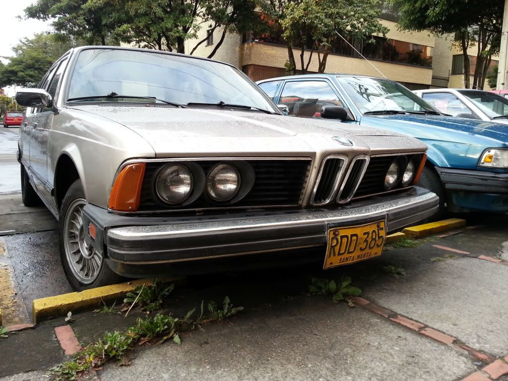 549d3de6.jpg