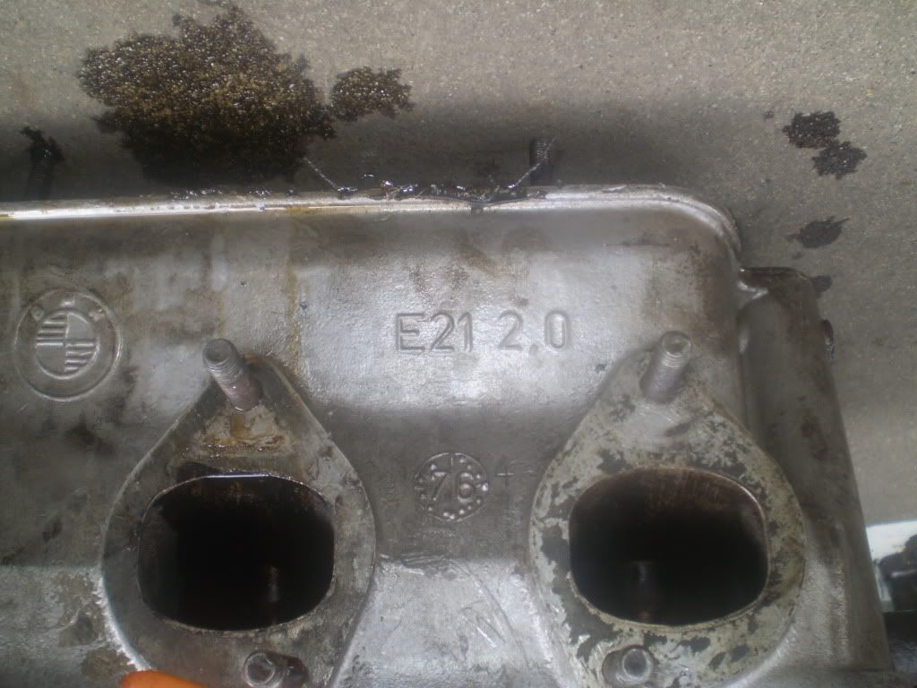 33610509.jpg