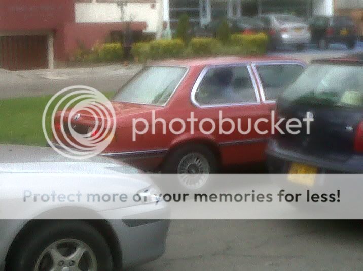 IMG01529-20120303-1333.jpg