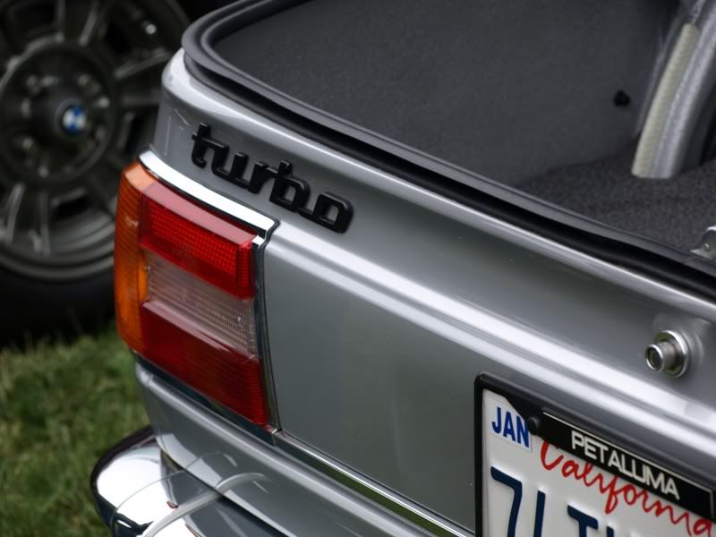 P5157346.jpg