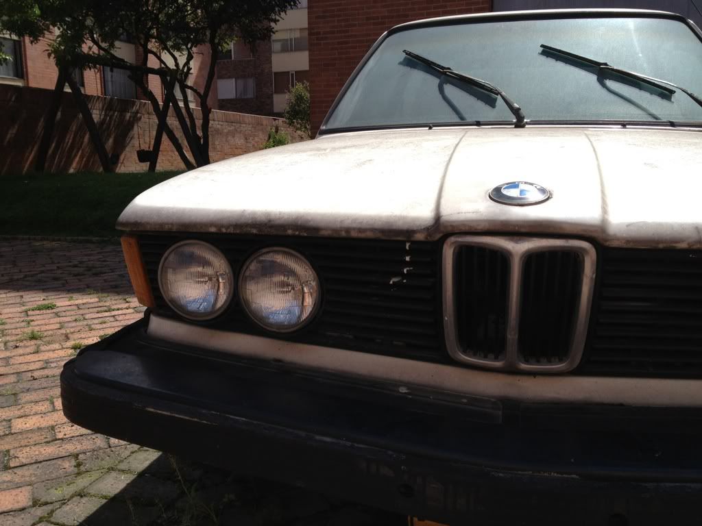 1986d811.jpg