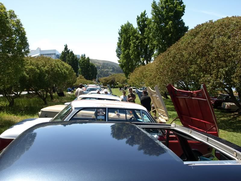 P5157592.jpg