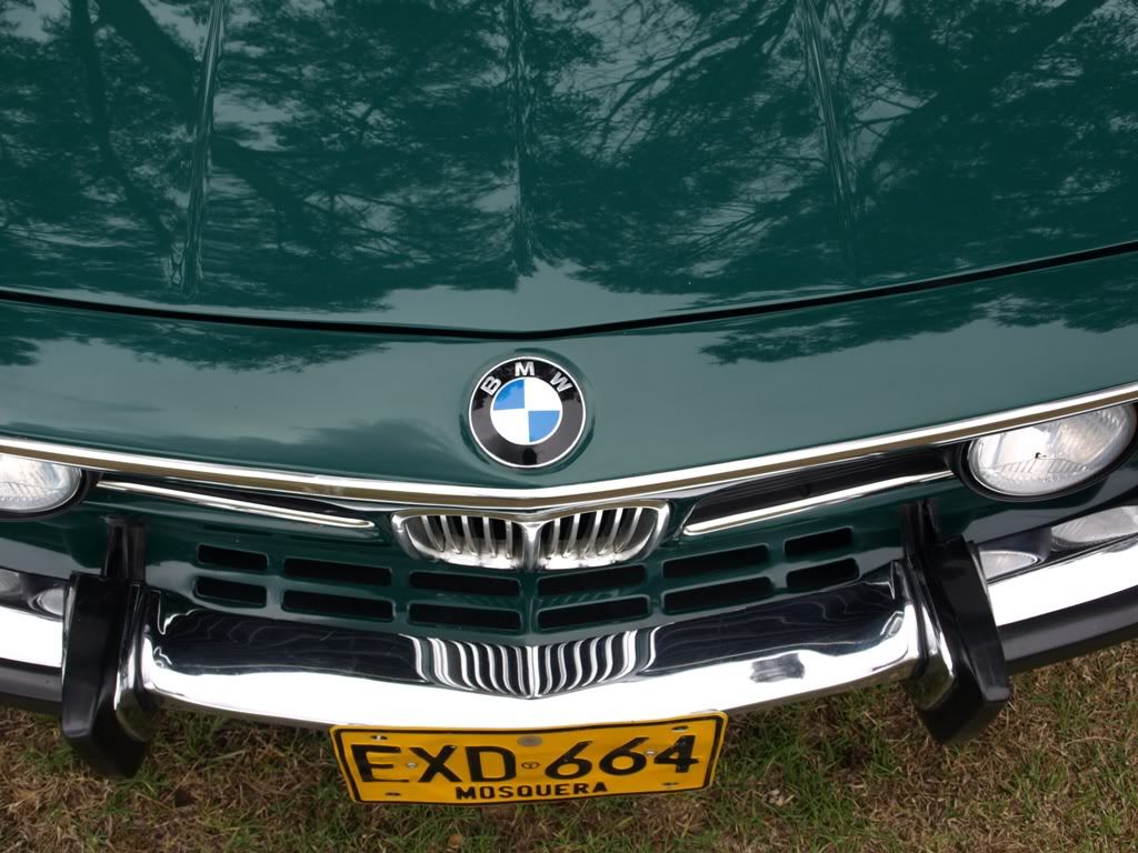P3158957.jpg