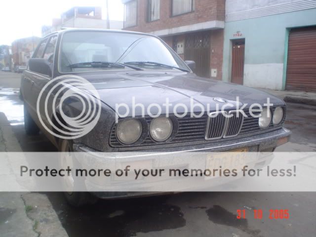 DSC02442.jpg