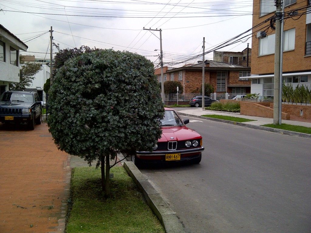 frentee2124.jpg