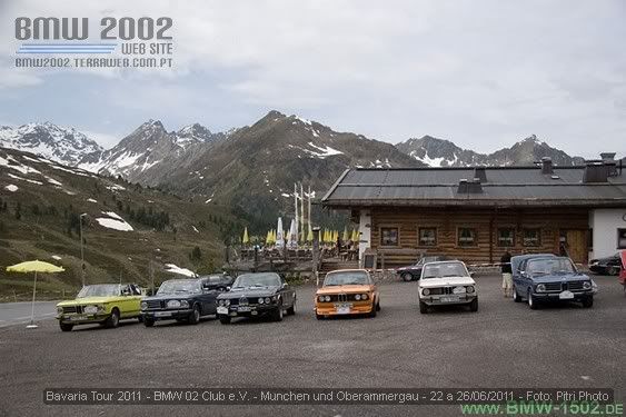PF00259.jpg