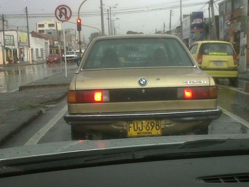 IMG00845-20110823-1442.jpg