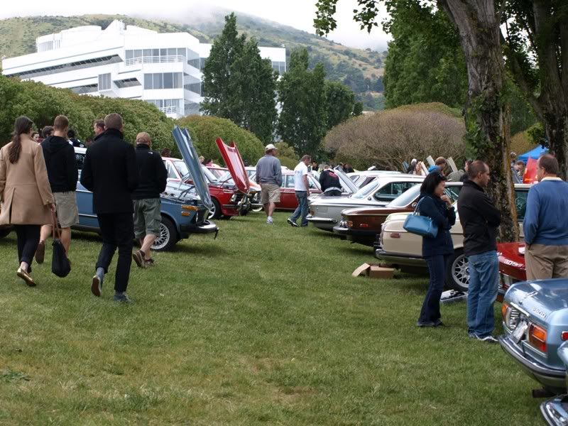 P5157322.jpg