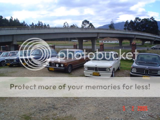 DSC01487.jpg