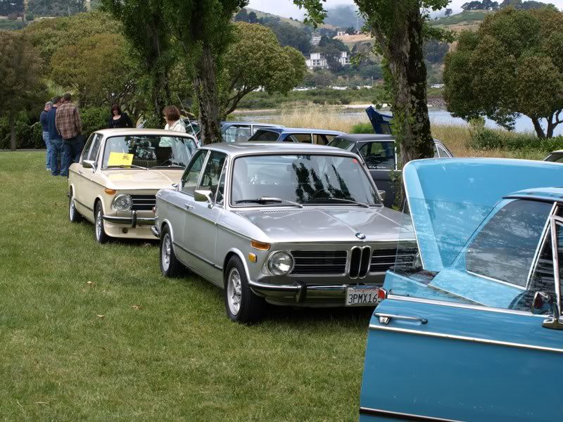 P5157464.jpg