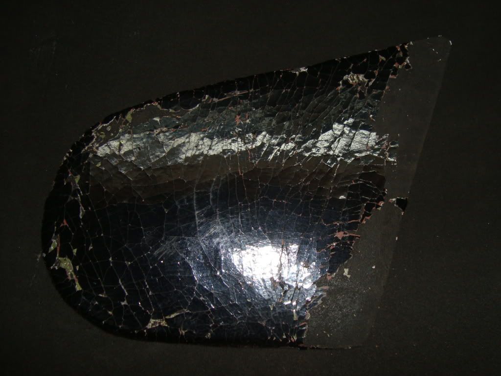 DSC01608.jpg