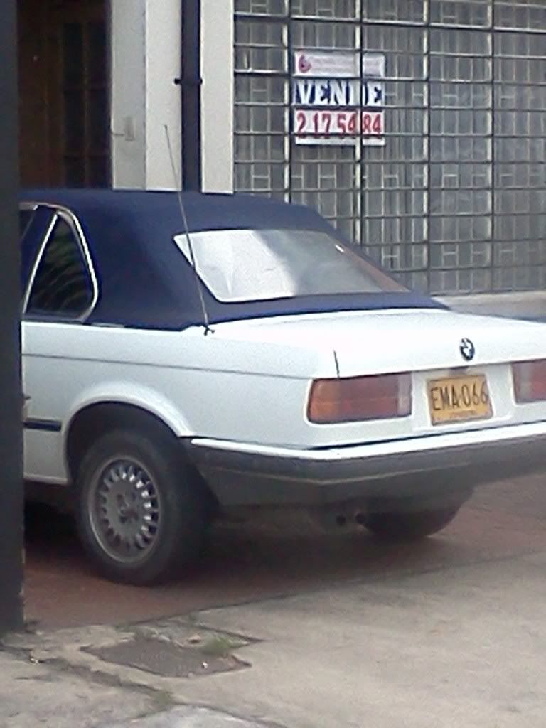 IMG186.jpg