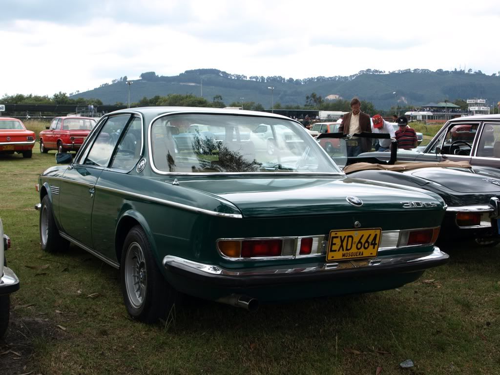 P3158951.jpg