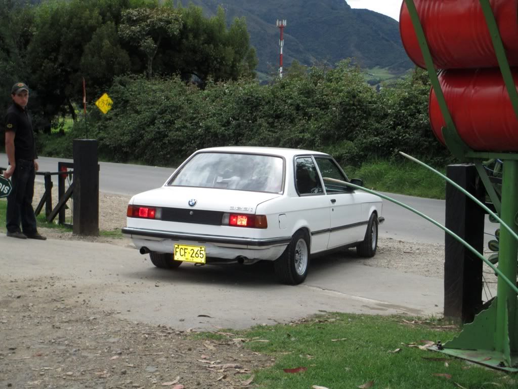 7499c275.jpg