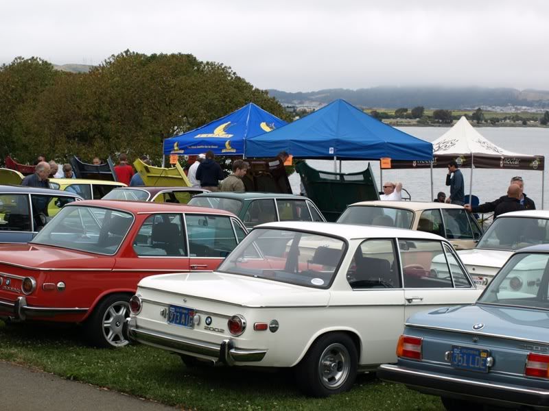 P5157410.jpg