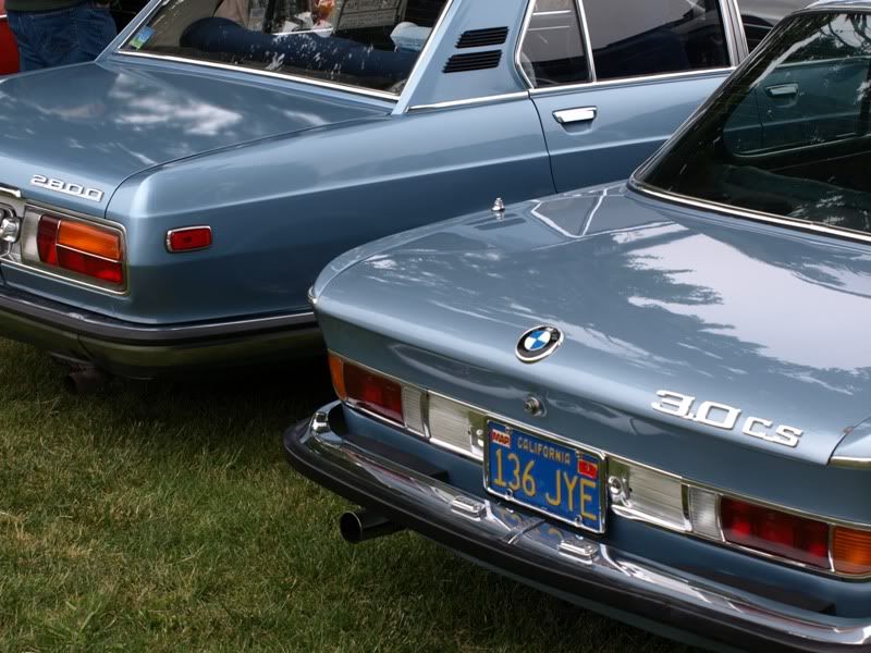 P5157324.jpg