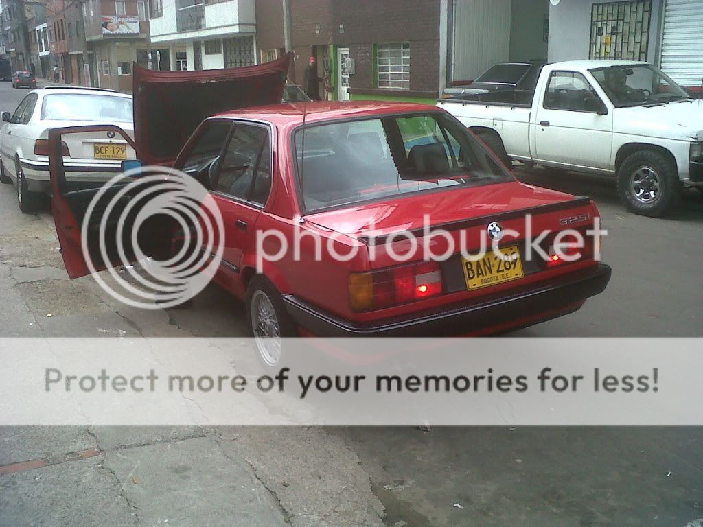 IMG00594-20111125-1216.jpg