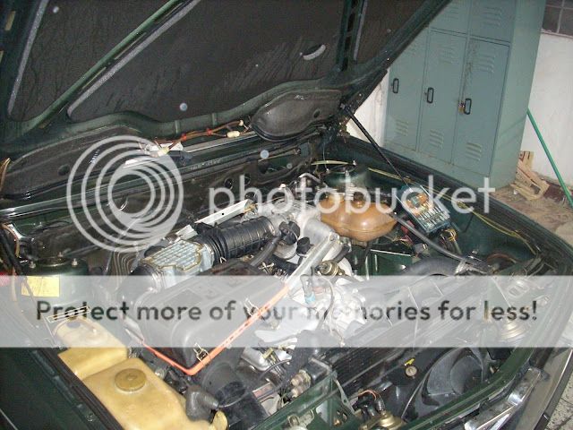 DSCN3181.jpg