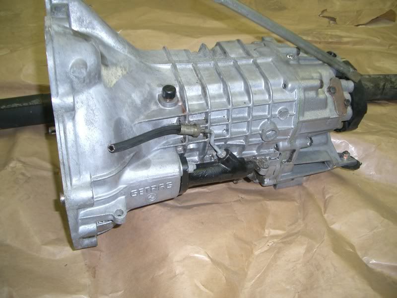 CIMG9243.jpg