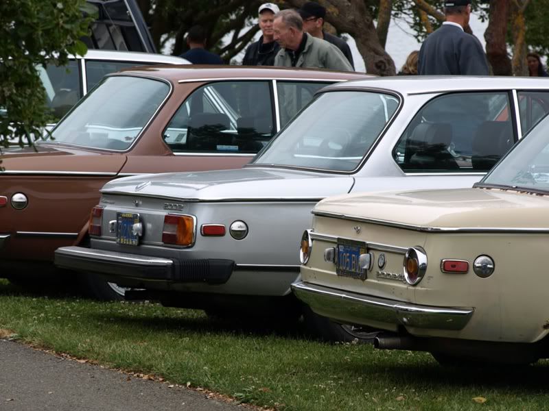 P5157412.jpg