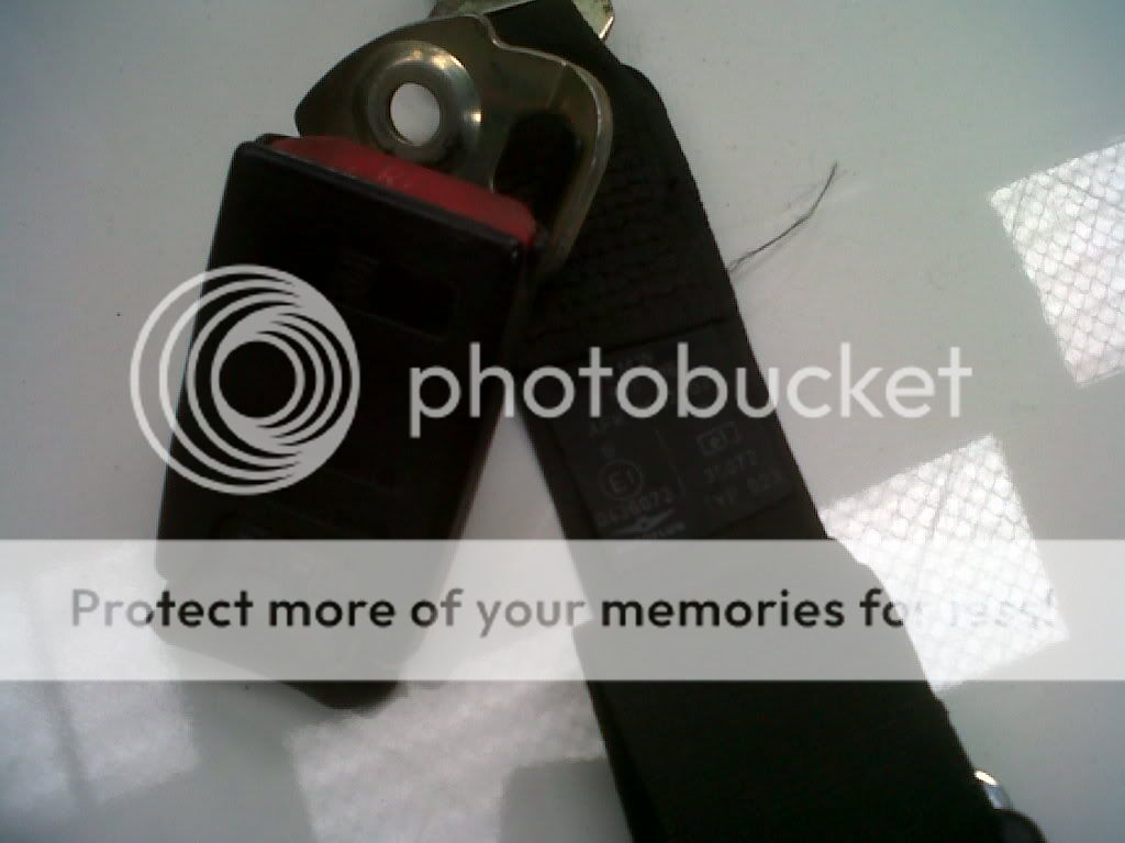 IMG00408-20110415-1536.jpg