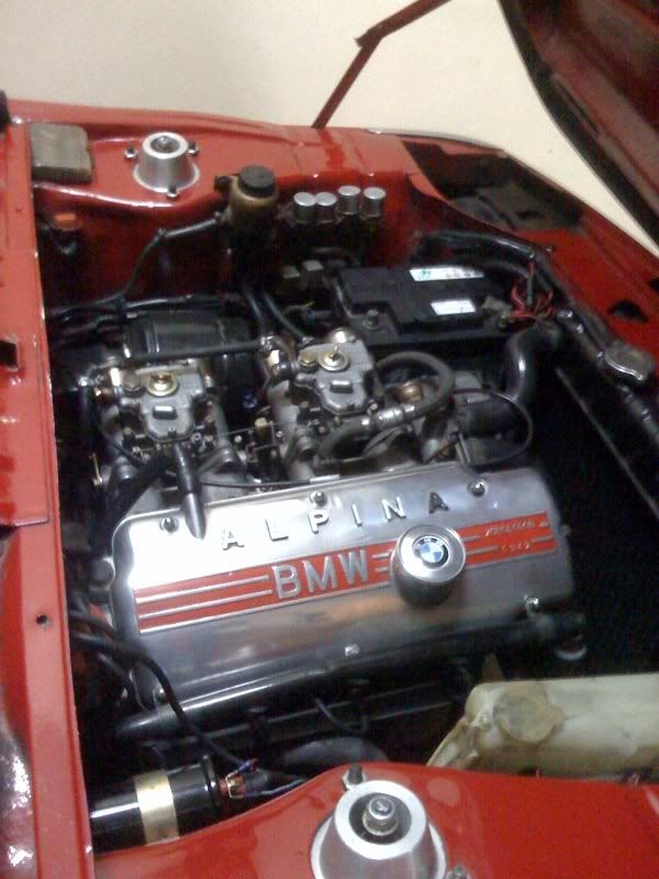 photo6.jpg
