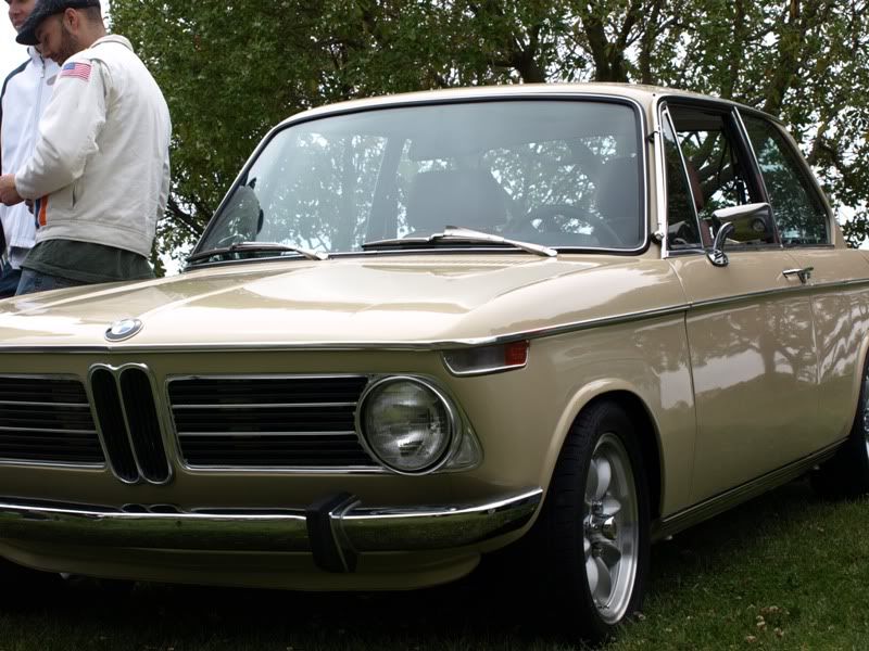 P5157453.jpg