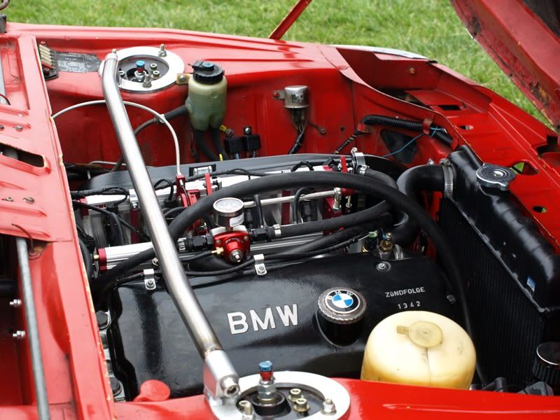 P5157417.jpg
