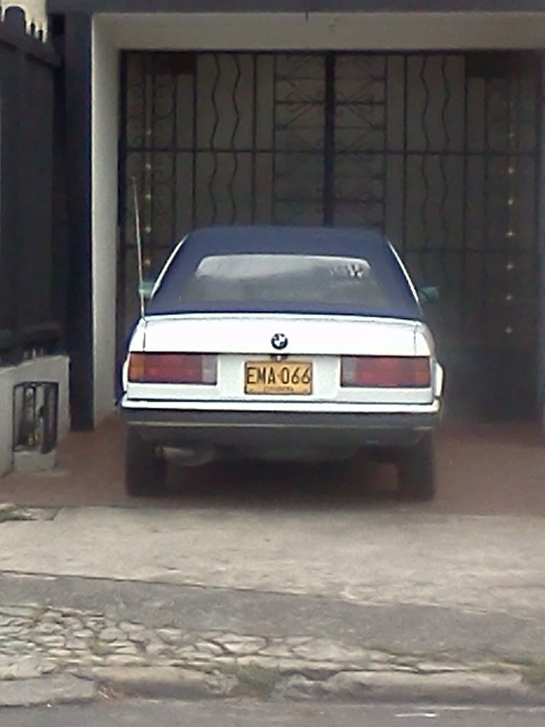 IMG185.jpg