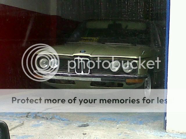 IMG00653-20110520-1102.jpg