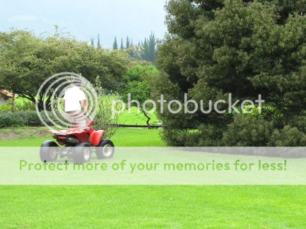 IMG_4545.jpg